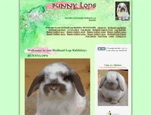 Tablet Screenshot of bunnylops.com